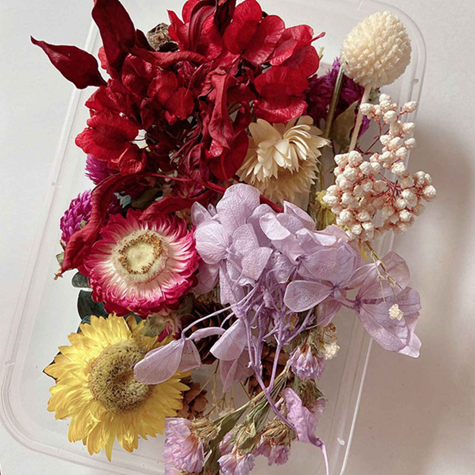 Natural Dried Flower Kit Press - Dried Herbs ulasan dan harga
