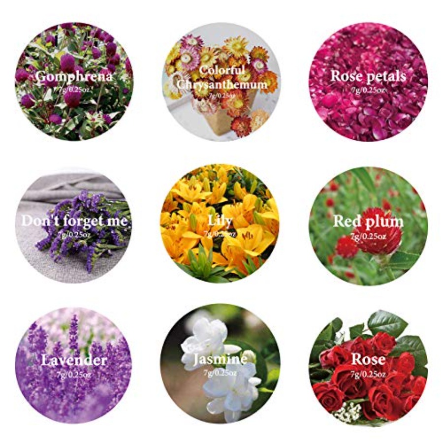 9 Bags Dried Flowers, 100% Nat - Dried Herbs ulasan dan harga