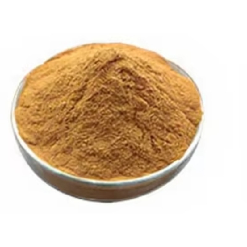 Dust Collecting Tea Leaf Turme - Turmeric ulasan dan harga